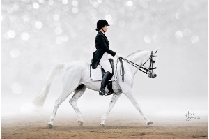 2018 Open Competition Award Winner - JW Alexandrite 2017 Open Competition Award Winner - JW Alexandrite