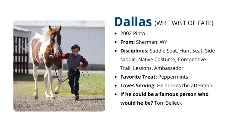 DH Dallas