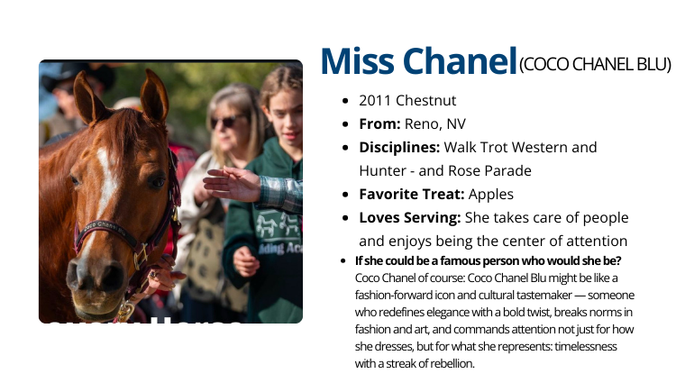 DH Miss Chanel DH Miss Chanel