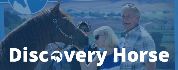 Discovery Horse Banner