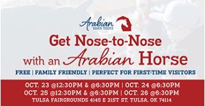 ABT_Nose-to-Nose_USN ABT_Nose-to-Nose_USN