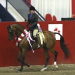 Involvement - Horse Shows & Competitions_Border