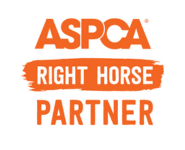 The Right Horse