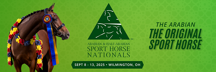 Sport Horse Banner