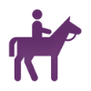 JS_Horse_Icon