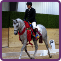 Comp Dressage Award Icon