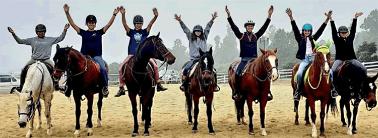 DF_Horse_Lineup