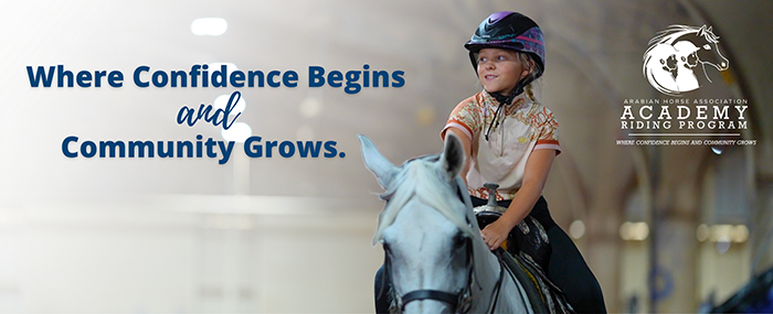 AA_Header_Top AA_Header_Top