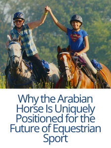AHA_Blog_Arabian_Horse_Uniquely_Positioned AHA_Blog_Arabian_Horse_Uniquely_Positioned