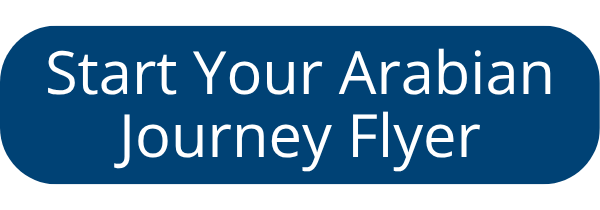 MTK_Start_Arabian_Journey MTK_Start_Arabian_Journey