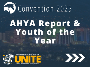 VL_25Convention_AHYA