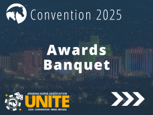 VL_25Convention_Awards