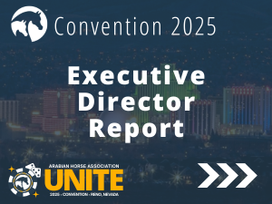 VL_25Convention_Executive