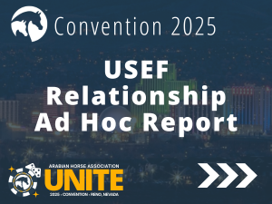 VL_25Convention_USEF