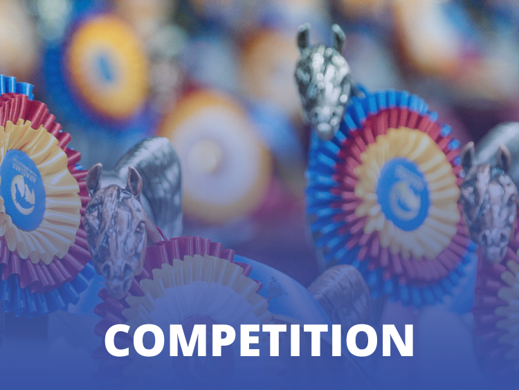 VL_Competition