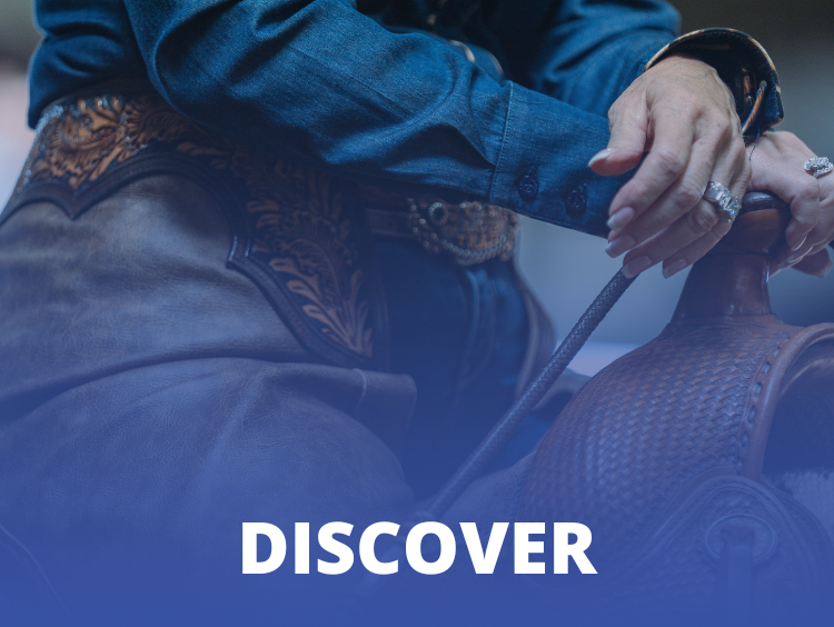 VL_Discover