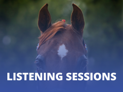 VL_Listening