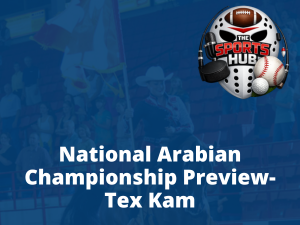 VL_Sports_Hub_Tex