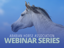 VL_Webinar