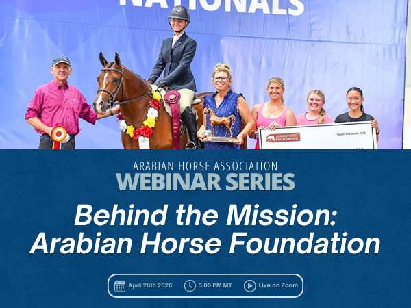 VL_Webinar_Foundation