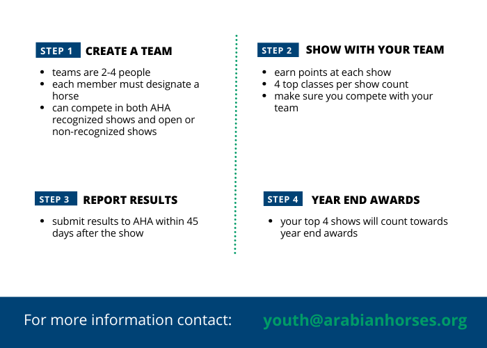 YTT Infographic